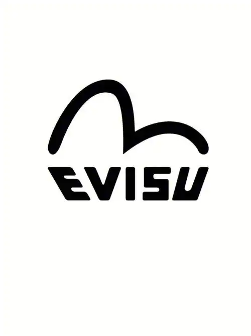每天分享一个品牌evisu