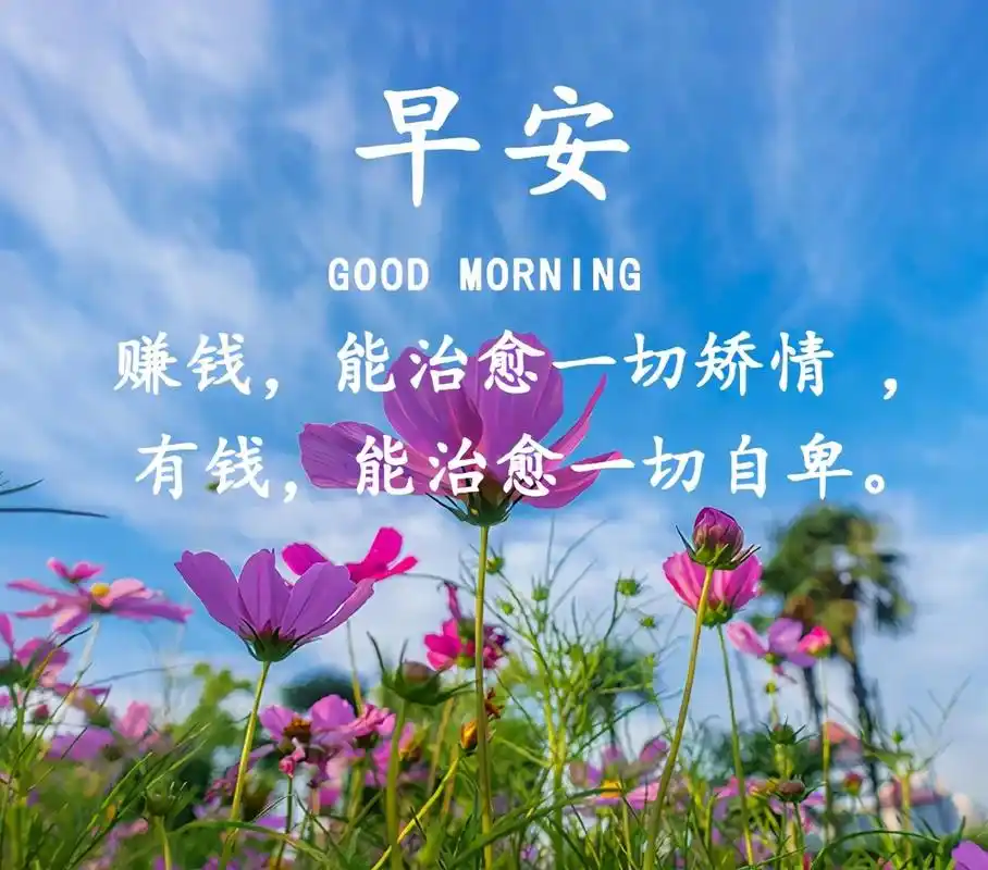 早上好唯美图片 朋友圈早安精致短句 特别漂亮的早上好动态图