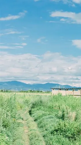 乡间清新风景图片手机壁纸