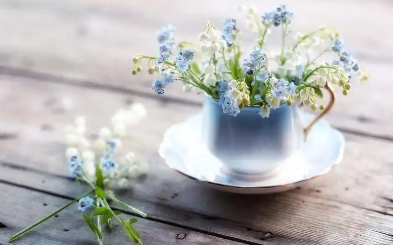 非主流唯美暖心花朵高清桌面壁纸下载3