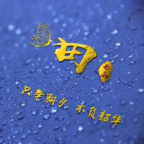 罕见姓氏头像田(田姓氏专属帅气头像) - 带字情侣头像 - 艾伊特头像站