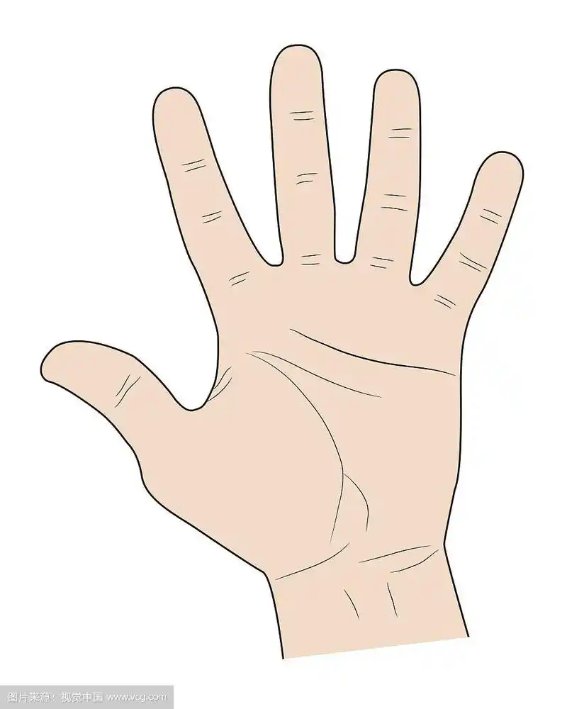 一只手的五个手指