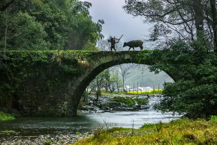 三月,盛开的油菜花海,漫山的红杜鹃,白墙黛瓦的古村落,晨曦的袅袅炊烟