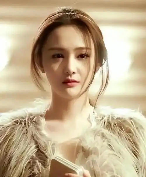 合伙人海外追债郑爽国内已无财产可供执行境外却还有6个亿