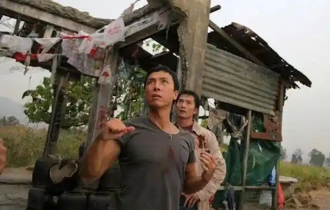 港片复兴,就靠它了_叶问_甄子丹_李小龙