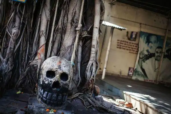 印度"食尸族",生吃腐尸和排泄物,痛饮恒河水,他们寿命有多长