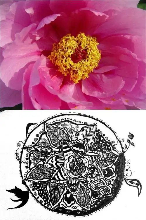 装饰与图案课程 作业展示