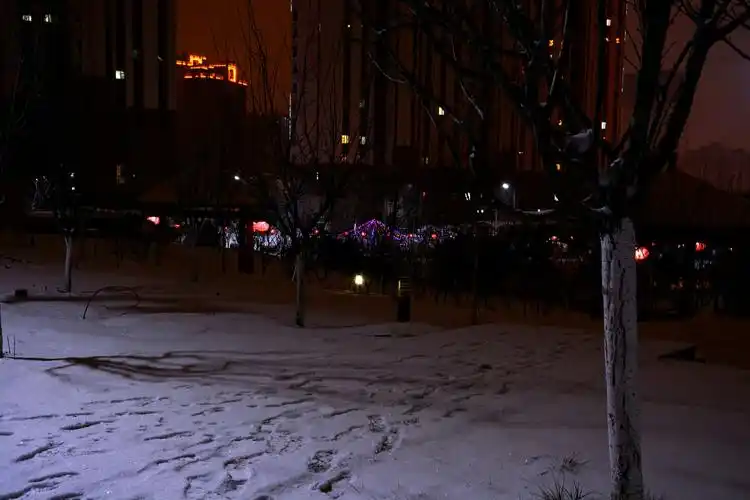 下雪的夜晚格外美