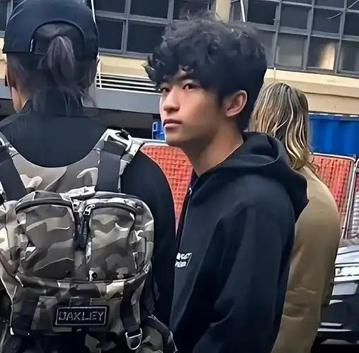 谢振轩|张柏芝|忘年恋_新浪新闻