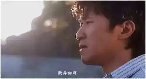 "我养你吧!" "谢谢,我有保险!