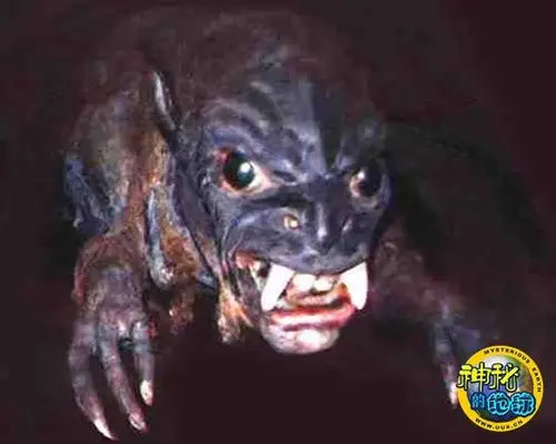 世界各地神秘怪兽揭密