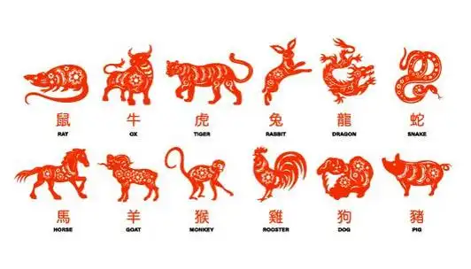 12生肖高清素材图(十二生肖图案素材)