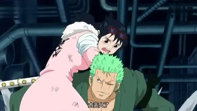 海贼王索隆小紫cp为什么这么多人不喜欢原因有三