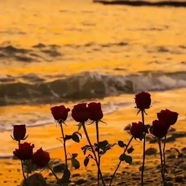 攒了一些好看的夏日朋友圈背景图