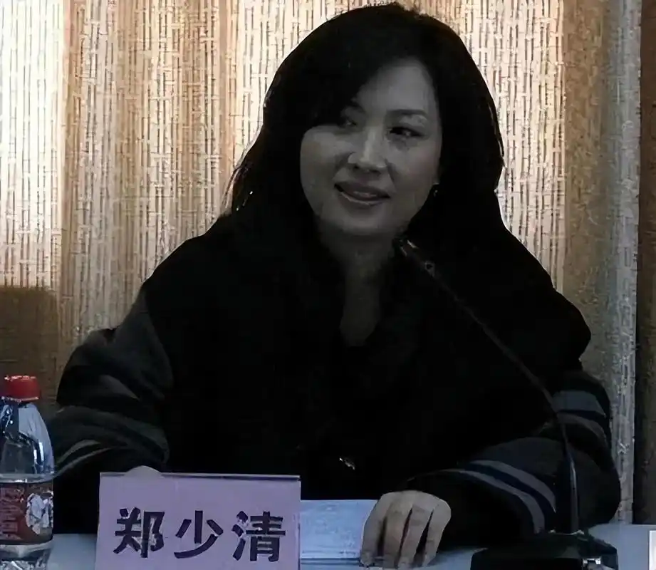 纪实:福建"猪哥勇""森林公园事件"闻名,藏2000黄碟,判无期