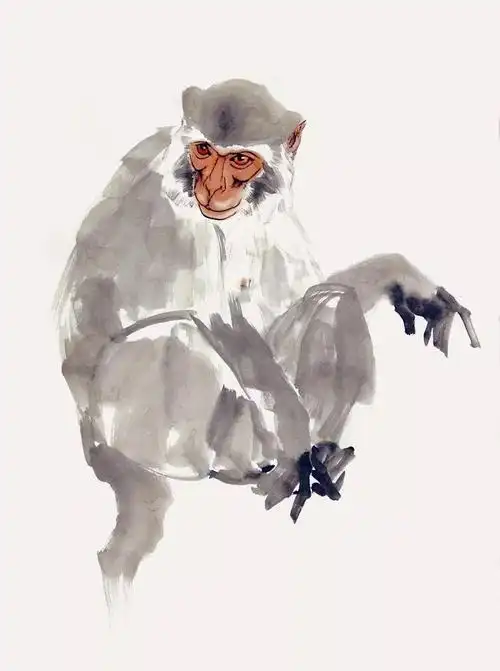 这位大师画猴,妙!