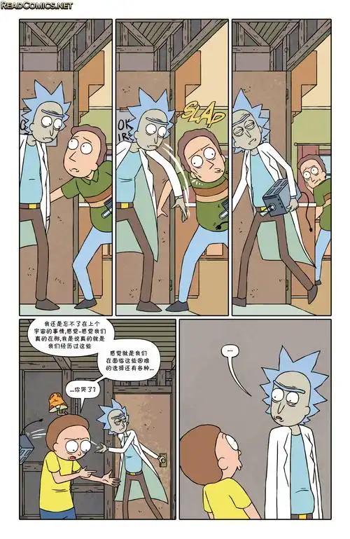 漫画瑞克与莫蒂141516