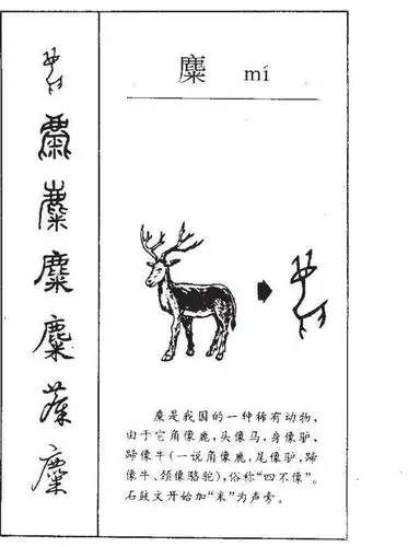 有趣的甲骨文字"麋",是后世认定的四不像,还是对鹿的误读?
