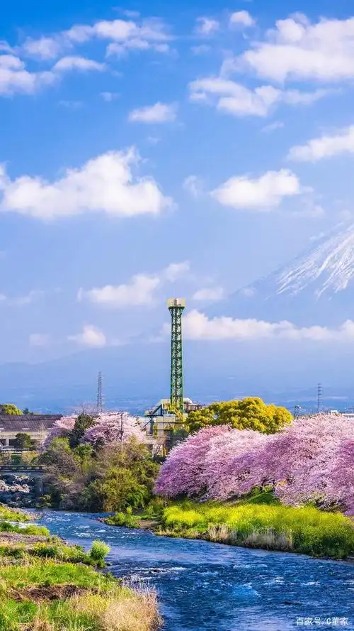 夏天迷人的景色