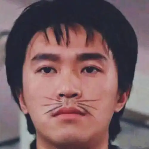 男明星国外排行榜第八名连头像也没有老外眼中只有功夫片吗