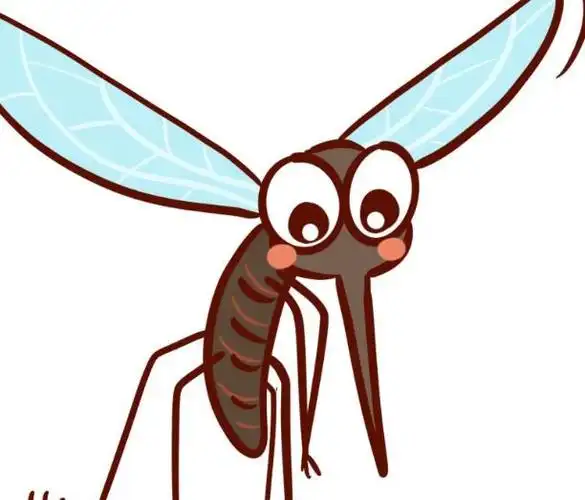 蚊子是怎么繁衍出来的