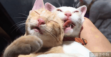 眼睛是心灵的窗户,换一下立马就沙雕了_gif