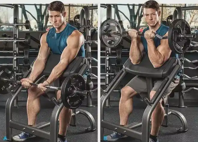 训练动作推荐蜘蛛弯举让肱二头肌撑爆你的衣袖