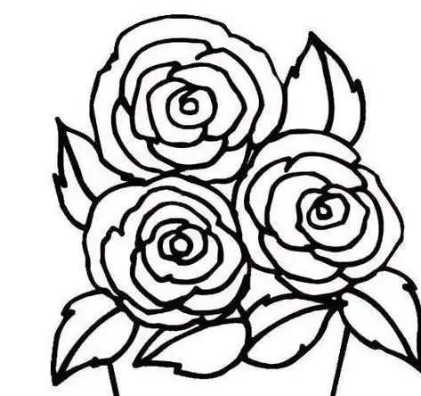 画花花的简笔画一朵漂亮的六瓣花简笔画图片花卉简笔画简单漂亮的花朵