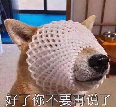 狗狗点头表情包