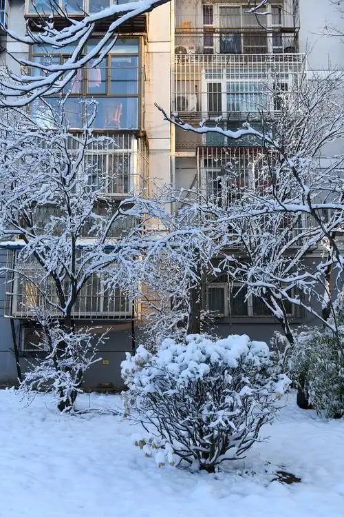 城市雪景 - 淡淡的紫214 - 图虫