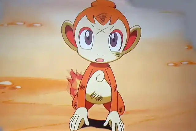 神奇宝贝也需要根据适性配主人,真司小智的小火焰猴就是一个例子