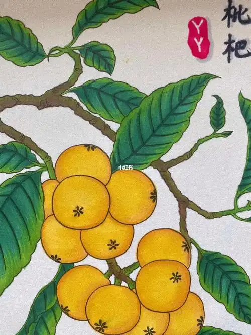 枇杷枇杷着子红榴绽,正是清和未暑时枇杷树形态优美,四季常青,冬有香