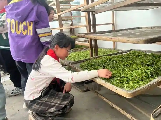 春季研学丨开化县林山乡中心小学走进春天的课堂