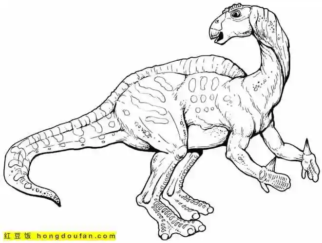 三角龙,专注力,伶盗龙,侏罗纪,侏罗纪公园,假期生活,分步简笔画,剑齿