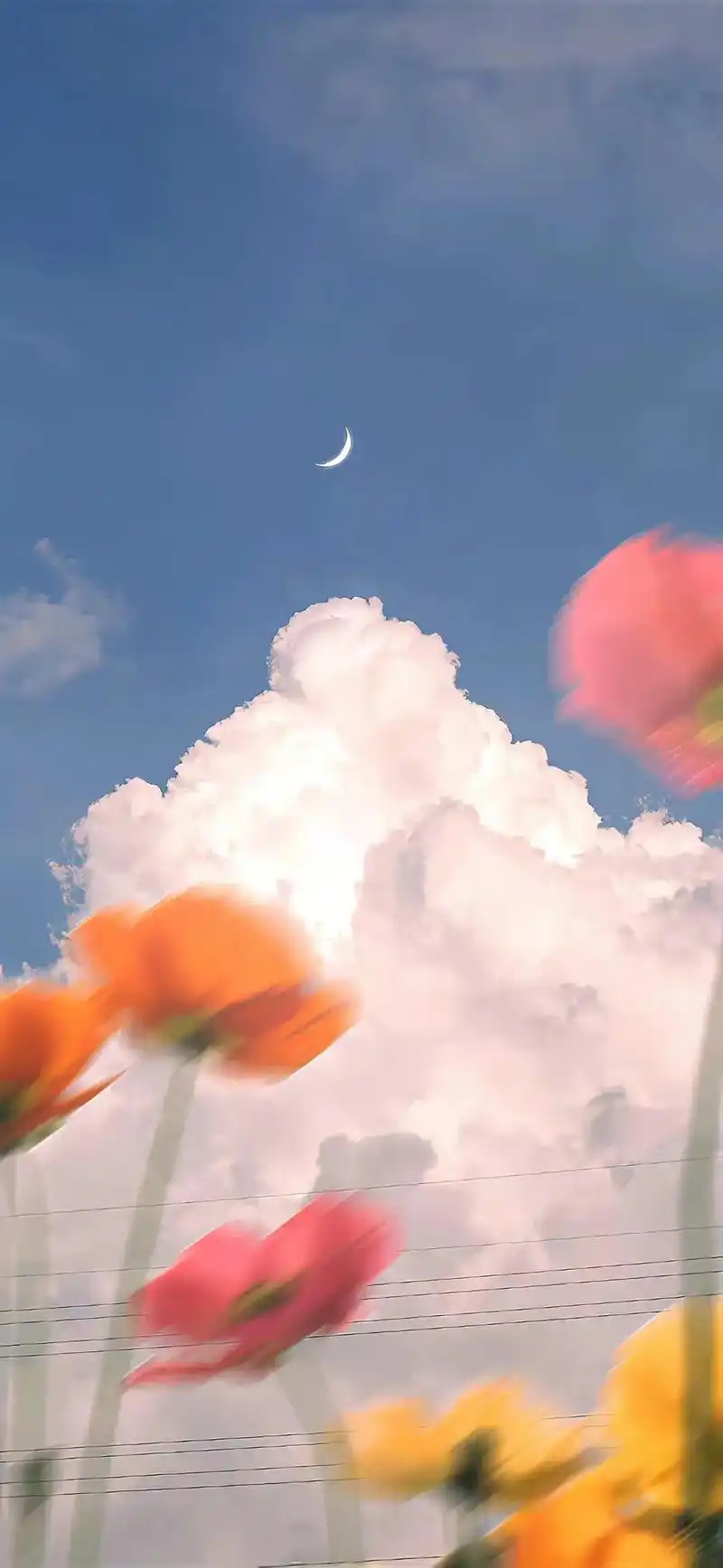 治愈系风景 #随手一拍都是美景 #好看的背景图 #唯美意境 - 抖音