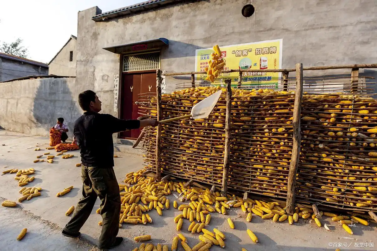 玉米储存 - 2020年最新商品信息聚合专区 - 百度爱采购