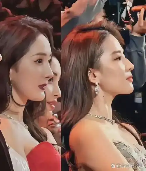 1987年生于美国,祖籍湖北 两人虽然只相差一岁,性格却大不相同 杨幂