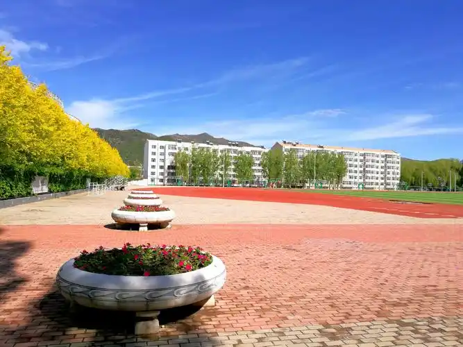 初夏时节校园里美丽的风景(二)