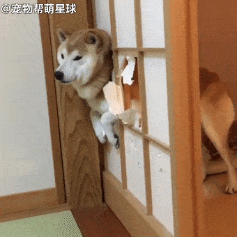 340_340gif 动态图 动图