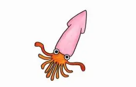 [乌贼简笔画]乌贼手绘简笔画彩色画法步骤步骤图片