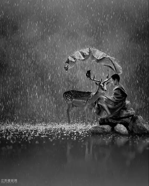 意境深远的黑白摄影作品
