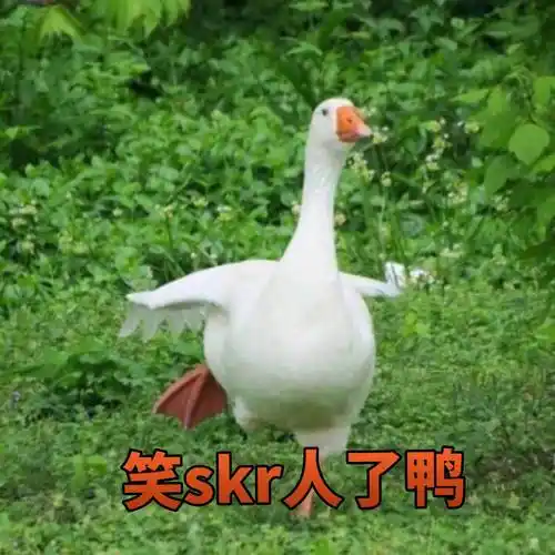 笑skr人了鸭skr表情
