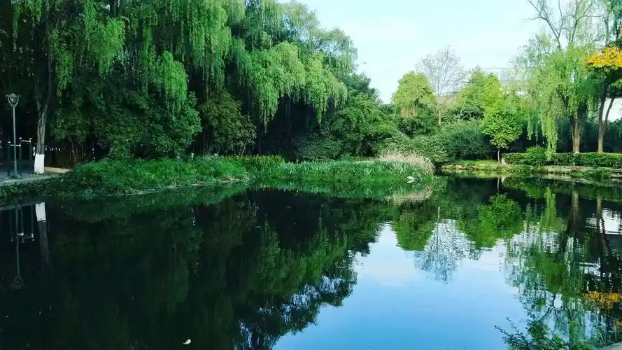 这湖水绿得纯净,绿得温柔,在蓝天之下显得更加恬静.