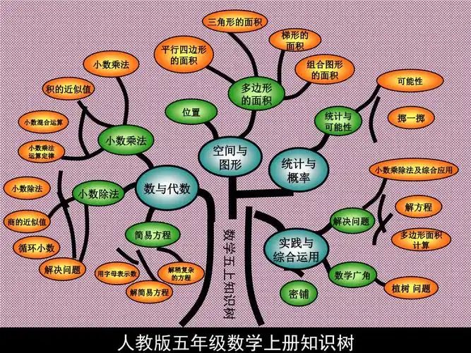 五年级数学上册思维导图知识树.ppt