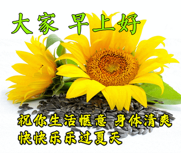 问候大家早上好动图表情2022,清晨祝福早上好问候语温馨语录_生命