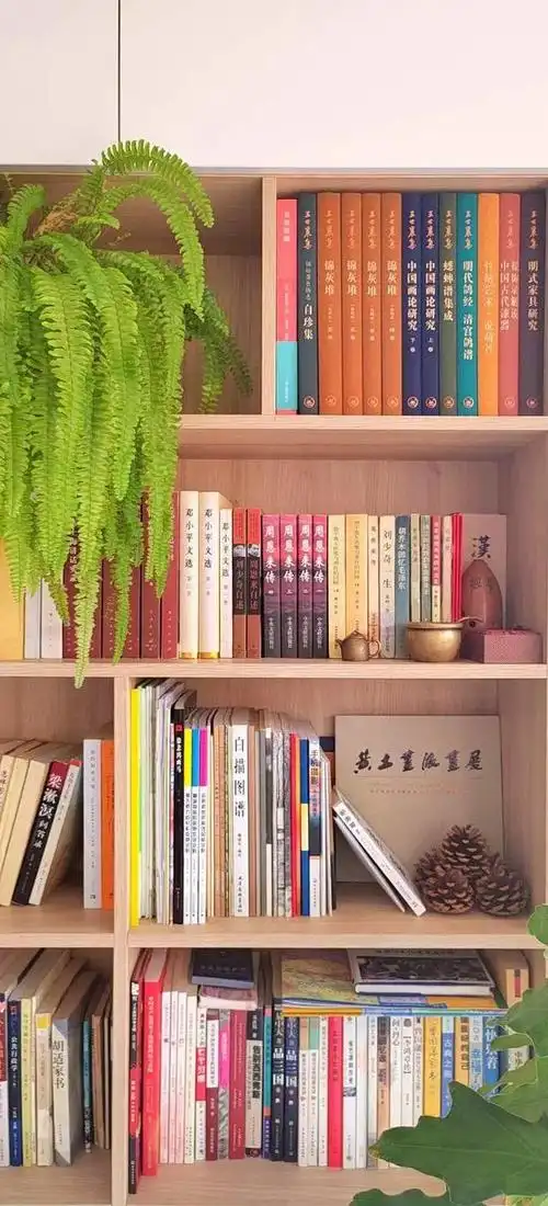 藏书要从什么时候开始,小学,高中,大学,还是工作后?