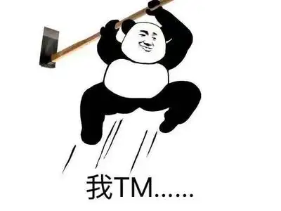 熊猫头 搞笑 雷人 斗图 我tm一锄头敲死你