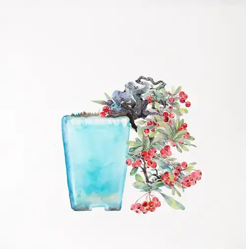 水彩,绘画,手绘,写实,写生,颜料,新手教程,水彩画入门,上色,初学者