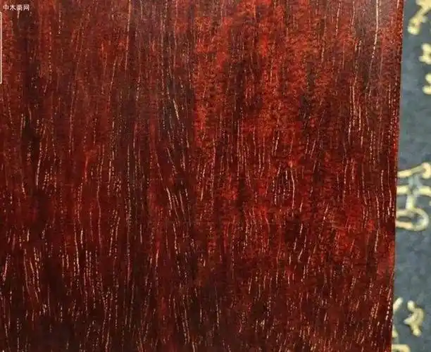 紫檀木有多少种类?