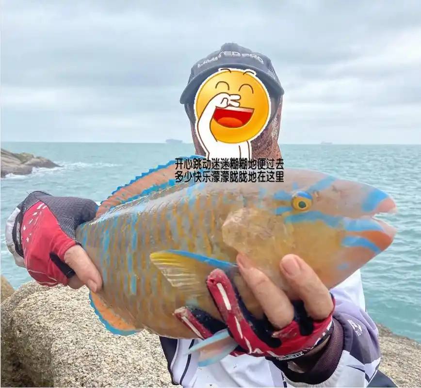 这是一种海鱼,名青衣鱼(青衣鱼)也是妾鱼的异名,常一,二相随游动,犹如